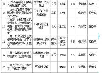 畢節(jié)市楊家灣煤礦礦井安全檢查存在問題整改工作方案