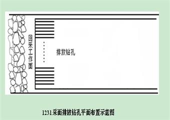 1231采煤工作面專項(xiàng)防治煤與瓦斯突出設(shè)計(jì)