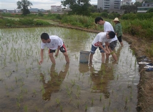 中國礦業(yè)大學(xué)筑夢實踐團到農(nóng)田實踐