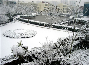 鄭麗芳：庭園雪景