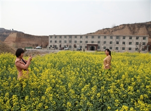 臨礦集團(tuán)石家坡煤礦：油菜花開蝴蝶舞