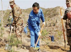 西山煤電集團(tuán)機(jī)關(guān)在西銘北山植樹(shù)1500株、綠化2000平米