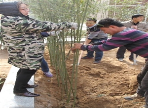 陜煤集團(tuán)澄合礦務(wù)局王村社區(qū)：掀起植樹(shù)美化活動(dòng)熱潮