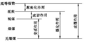 煤田地質(zhì)基礎(chǔ)知識教案-中國礦業(yè)大學(xué)