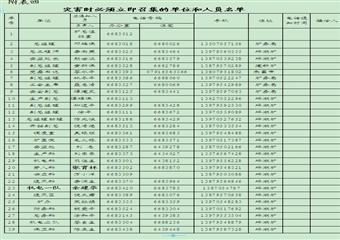 大林煤礦二0一二年礦井災(zāi)害預(yù)防措施及處理計劃