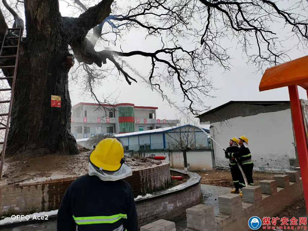 一棵千年大樹(shù)突發(fā)自燃“蒲白救援”挺身而出