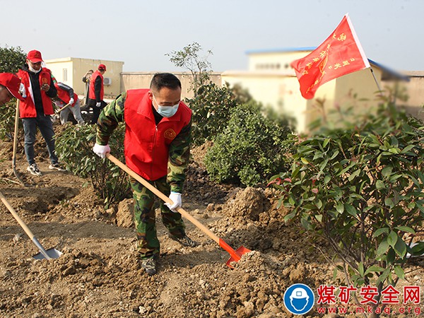 修剪除雜增顏值、樹木移植搬新家——全國第44個植樹節(jié)來臨這個礦這樣做