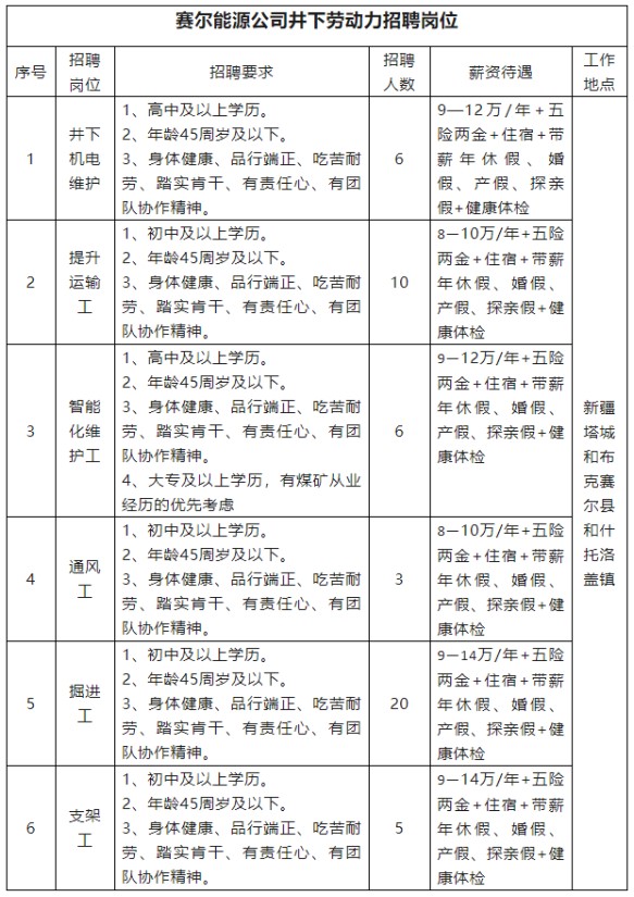 徐礦集團(tuán)新疆賽爾能源有限責(zé)任公司公開招聘啟事