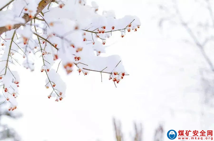 陜西中能煤田有限公司瑞雪開春