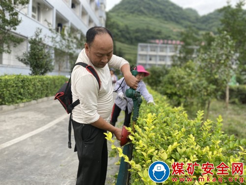 締造綠色世界·蓄勢(shì)花草雅韻